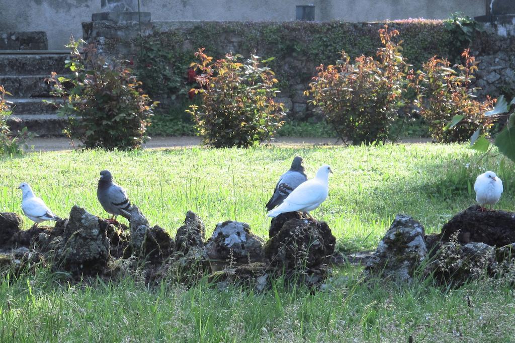 Frühstückspension La Blanchisserie
